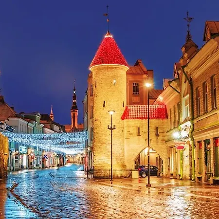 New Studio In The City Center Near Bus Station With Parking Korter Tallinn
